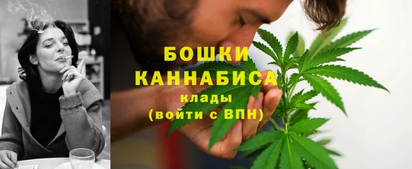 гашик Каменногорск