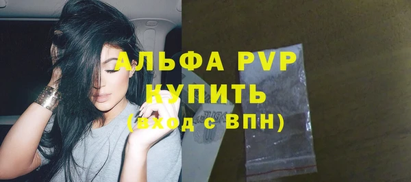 гашик Каменногорск