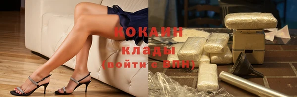 гашик Каменногорск