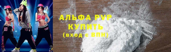 гашик Каменногорск